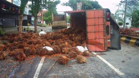 Truk Angkut Kelapa Sawit Kecelakaan Terguling Tabrak Pembatas Jalan