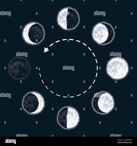 Mondphase Wachsend Gibbous Stock Vektorgrafiken Kaufen Alamy