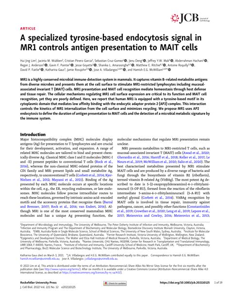 Pdf A Specialized Tyrosine Based Endocytosis Signal In Mr Controls