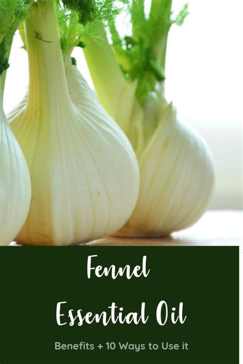 10 Reasons I Love To Use Fennel Essential Oil Fennel Essential Oil