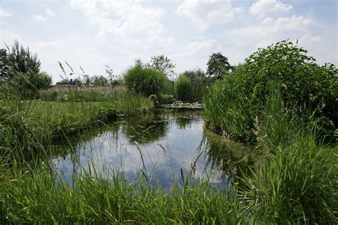 Landschappelijke Tuin Met Vijver Appeltern Adventure Gardens