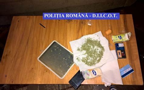 Grupare Specializat N Trafic De Droguri Destructurat Stiri Din