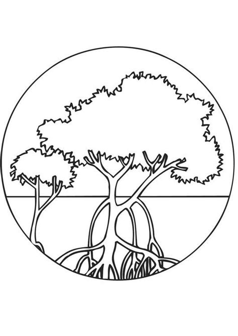 Coloring Page Mangroves Img Dibujos Para Colorear Videos