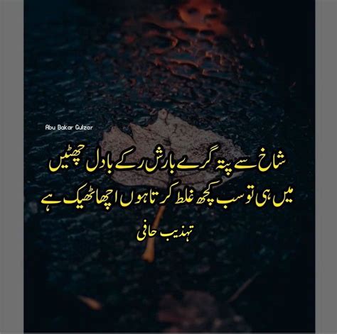 Pin By Abu Bakar Gulzar On Tehzeeb Hafi Deep Words Poetry Deep Poetry