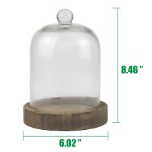 Amazon Stonebriar Small Stonebriar 8 Inch Clear Glass Dome Cloche