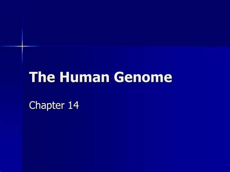 The Human Genome Chapter Ppt Download