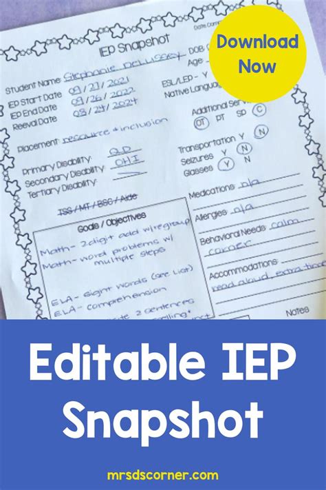 Editable IEP Snapshot IEP At A Glance IEP Data Sheet Special