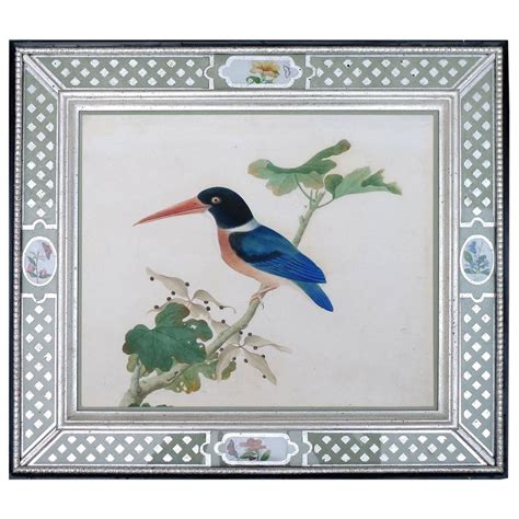 China Trade Large Watercolor Painting Of A Bird Kingfisher Circa 1800