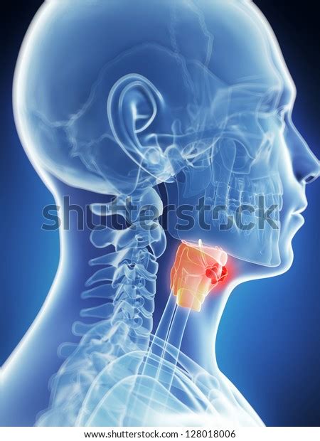 3d Rendered Illustration Male Larynx Cancer Stock Illustration 128018006