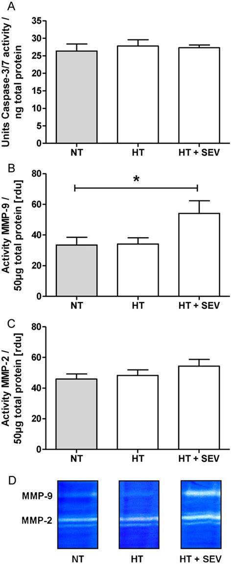 Intestinal Activities Of Caspase 3 7 And Matrixmetalloproteinase 2 9