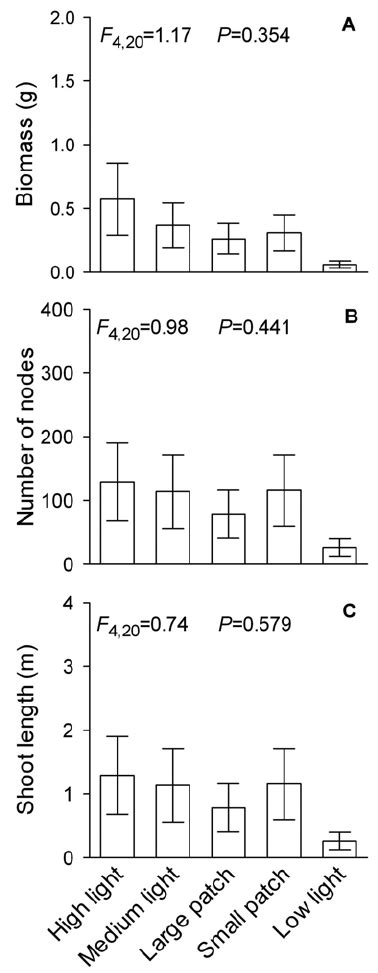 A Total Biomass B Total Number Of Nodes And C Total Shoot Length