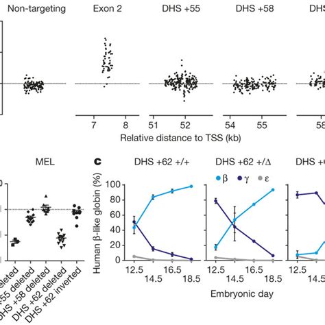 Functional Sequence Requirement At The Mouse Bcl11a Erythroid Enhancer