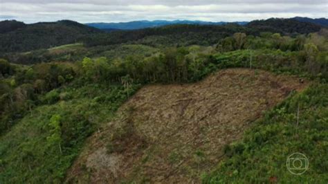 Opera O Contra Desmatamento Na Mata Atl Ntica Utiliza Drones Para