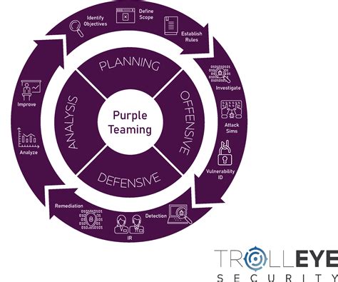 What Is Purple Teaming Trolleye Security