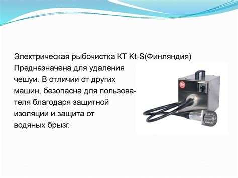 Виды оборудования из инвентаря цеха для обработки рыбы - online ...