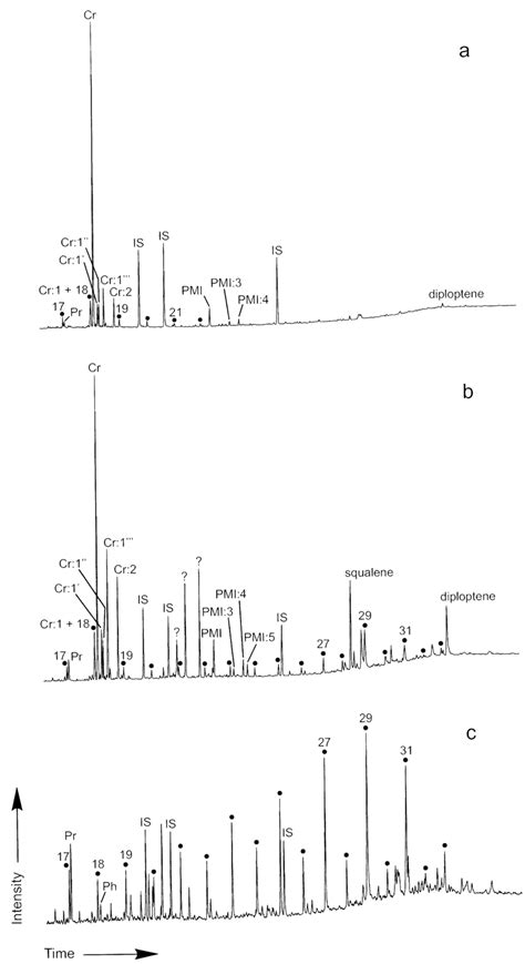 Gas Chromatograms Of Hydrocarbon Fractions Obtained From Samples At