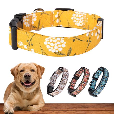 Best Dog Collar for Labrador Retriever: Our Top Recommendations