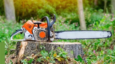 Best Top Handle Chainsaw For Arborists - Top 7 in 2023