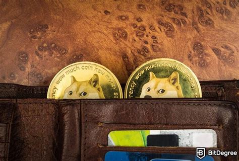 The Best Dogecoin Wallets Of 2025 Top 10 Options