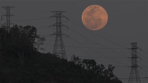 Did you see the Super Flower Blood Moon last night? It was stunning | WAMU