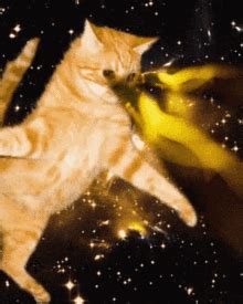 Cat Laser Eyes Gif If you are a moderator please see our ...