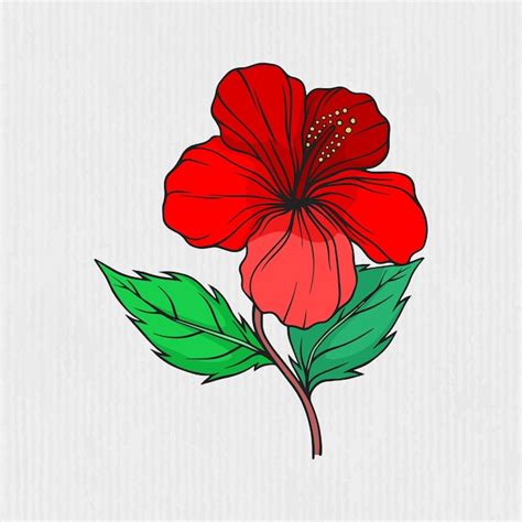 Premium Vector | Red hibiscus flower design illustration