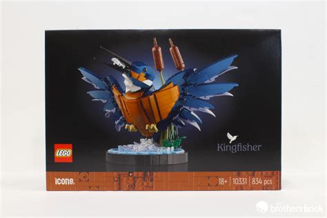 Lego Icons Kingfisher Tbb Review The Brothers Brick