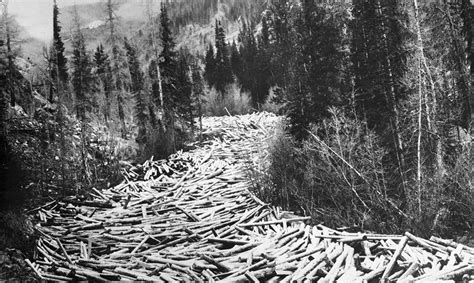 State Of Oregon Oregon Ghost Towns Oregon Logging In The 1900s