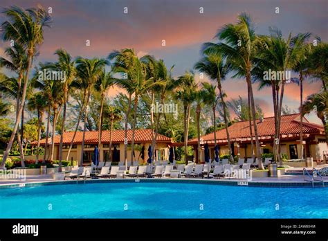 Pool Cabanas and Palms at Dusk Stock Photo - Alamy