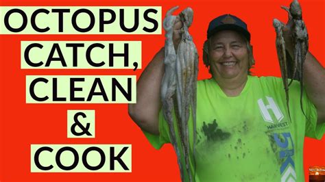 Octopus Catch Clean And Cook YouTube