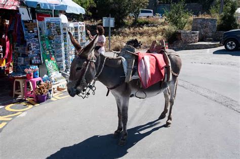 From Heraklion Knossos And Lasithi Plateau Full Day Tour Getyourguide