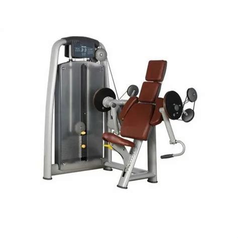 BS 006 Biceps Curl Machine For Gym At Rs 45000 In Sas Nagar ID