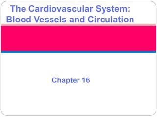 Blood Vessels PPT