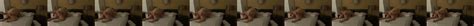 Great Japanese Amateur Vid Shin Yokohama Free Porn XHamster