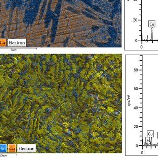 SEM investigation of the metallic surface of the Dacian artifacts: (a ...