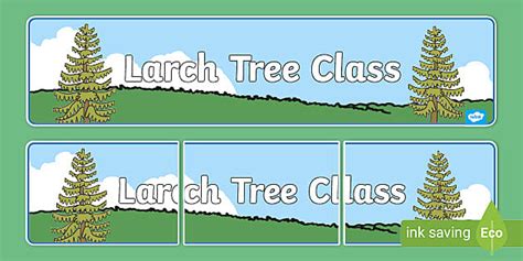 Free Larch Tree Themed Classroom Display Banner Twinkl