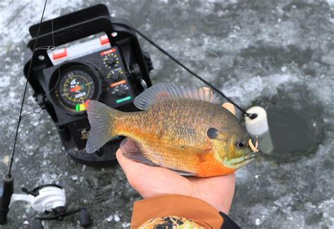 What Is A Spud Bar Used For Ice Fishing Trickyfish