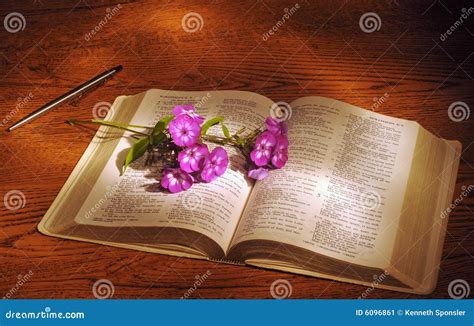 Flores De La Biblia Imagen de archivo - Imagen: 6096861