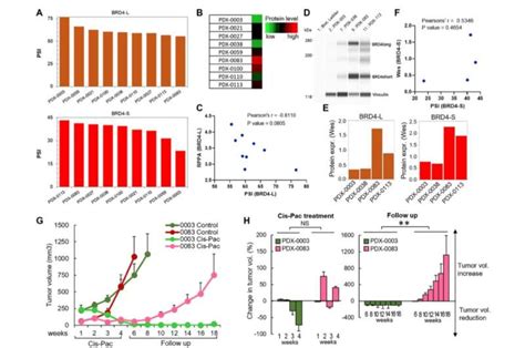 Increased BRD4 L And BRD4 S Promotes Chemotherapy Resistance In Ovarian