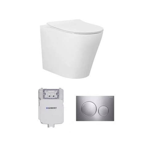 Geberit Alzano Hurricane Tornado Rimless Concealed Wall Face Toilet