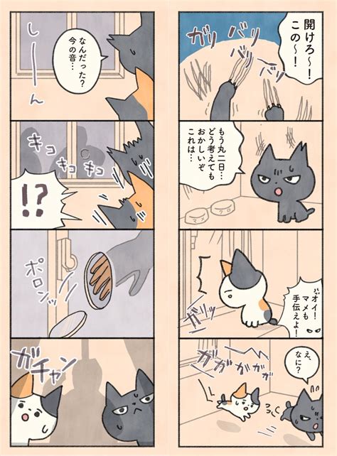 「もしもなんて来ないと思ってた猫112 」オキエイコデザフェスe404の漫画