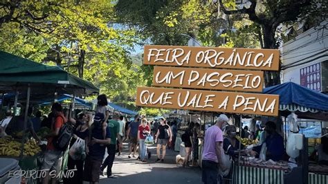 Feirinha Praia Da Costa - Feira Orgânica Praia Da Costa Vila Velha - ES - YouTube