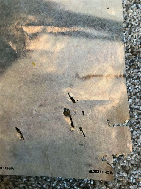 Marilyn Monroe Bikini Poster Ft