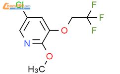 5 Chloro 2 methoxy 3 2 2 2 trifluoroethoxy pyridine 1280786 68 6 赫澎上海