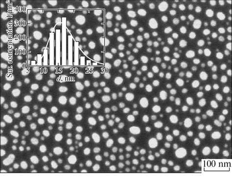 SEM Image Of Gold Nanoparticles On A Silicon Substrate The Inset Shows