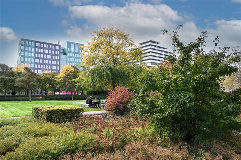 Meedenken Over Een Gezonde Leefomgeving Mijn Amstelveen