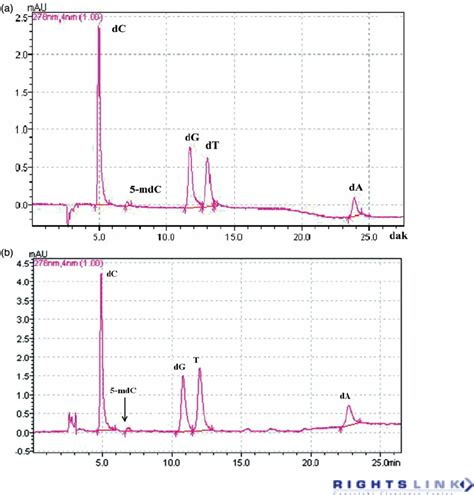 A Representative HPLC Chromato Gram Of All Five Deoxyribonucleosides