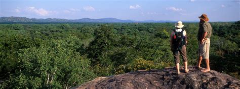 Mwabvi Wildlife Reserve | South Malawi | Malawi Tourism