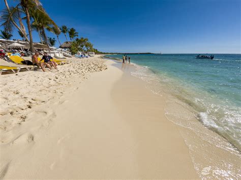 Private Catalina Island Tour Speedboat Snorkeling Lunch Guide