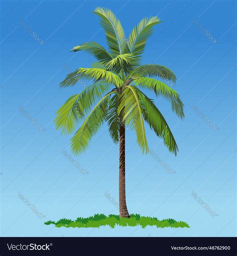 Pohon Kelapa Vector